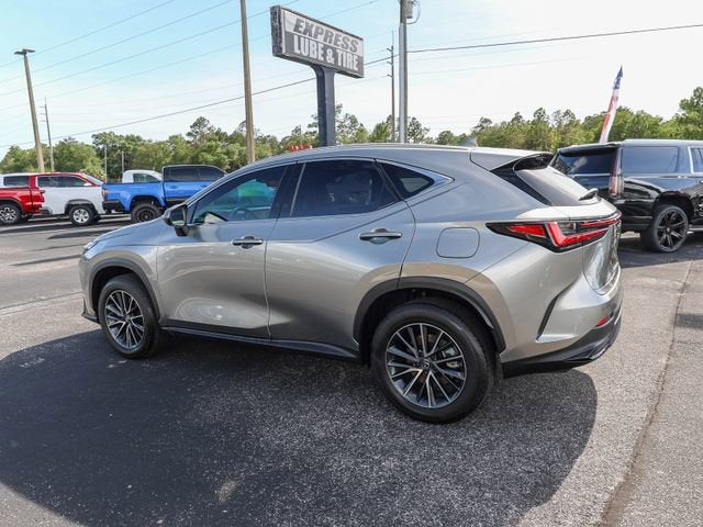 2024 Lexus NX NX 350h Premium